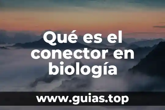 Que es la flor biologia 6 Qué es el conector en biología