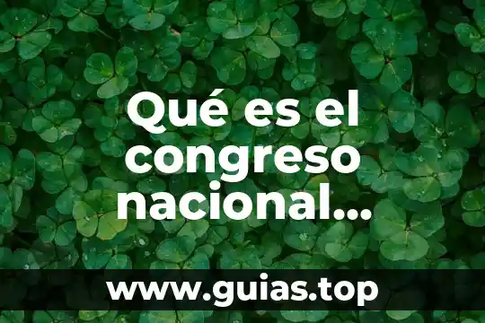 Que es el ser ciudadano 4 Qué es el congreso nacional ciudadano