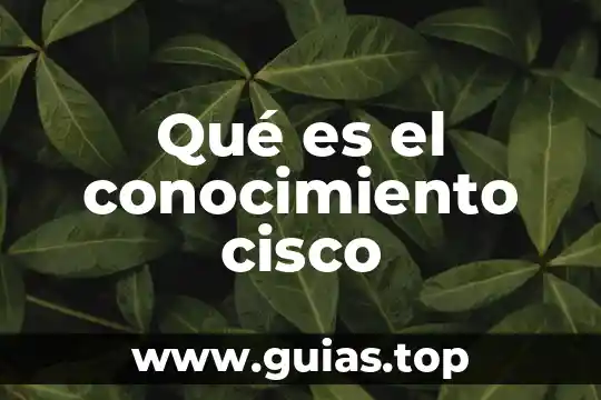 Viptela cisco que es 4 Qué es el conocimiento cisco