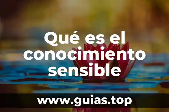 Qué es una inferencia lógica matemática 8 Qué es el conocimiento sensible