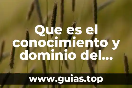 Qué es un mp3 en el cuerpo humano 6 Que es el conocimiento y dominio del cuerpo
