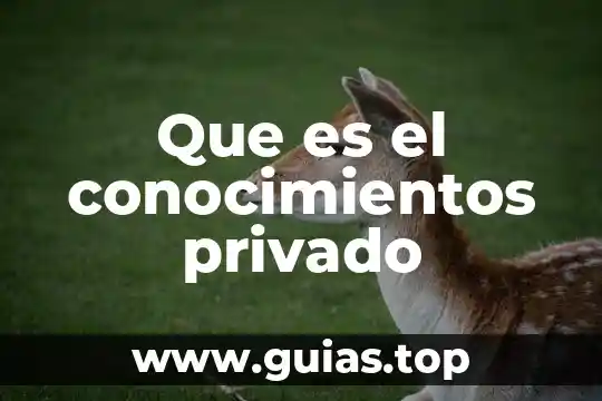 Que es el acne conocimientos populares 8 Que es el conocimientos privado