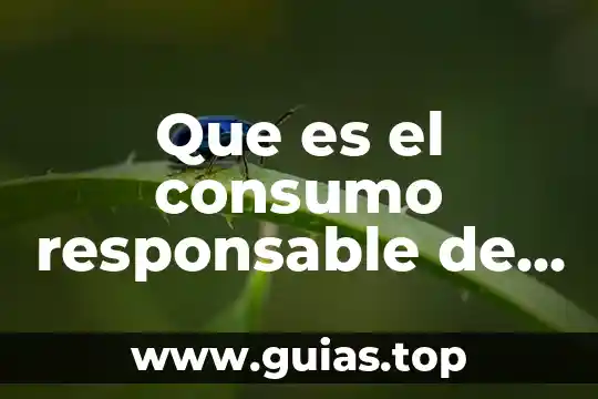 Que es el gasto de consumo personal 3 Que es el consumo responsable de los alimentos