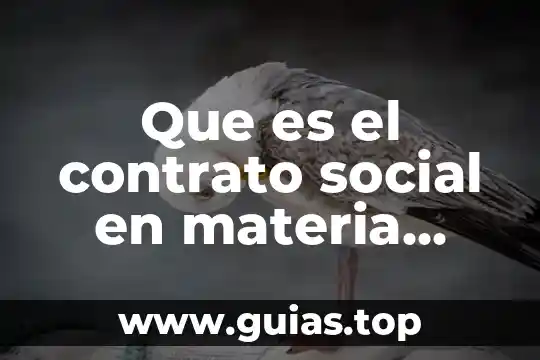 En materia civil que es la vias de apremio concepto 5 Que es el contrato social en materia mercantilk
