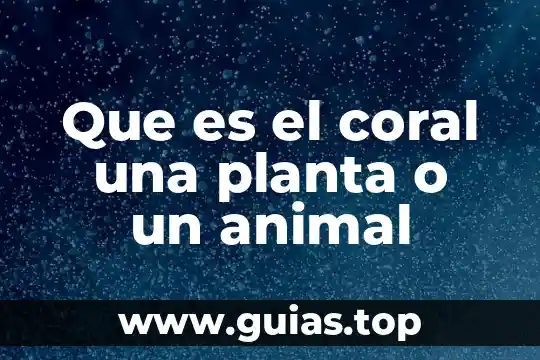 Que es mejor para farmear huracan o statikk 6 Que es el coral una planta o un animal