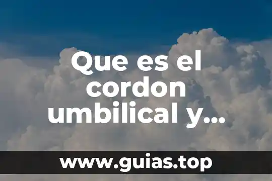 Quien se cree que es elemental 7 Que es el cordon umbilical y quien lo formo