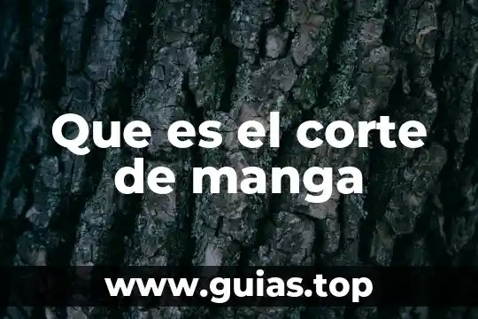 Que es de belleza corte de pelo 4 Que es el corte de manga