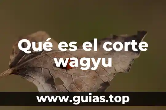 Que es ser congruente entre pensar y actuar 7 Qué es el corte wagyu