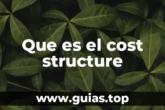 Que es un epiclesis del sol 6 Que es el cost structure
