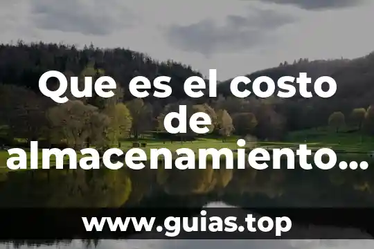Que es el costo el dinero 6 Que es el costo de almacenamiento y manejo