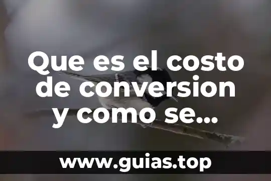 Conversion analogica digital que es 4 Que es el costo de conversion y como se calcula