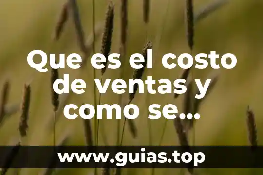 Qué es costo variable en contabilidad 5 Que es el costo de ventas y como se calcula