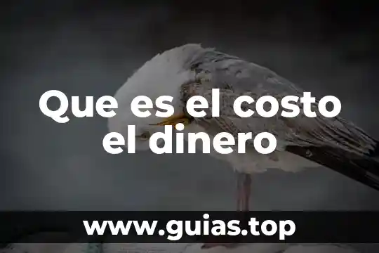 Que es el costo fiscal de las acciones 7 Que es el costo el dinero
