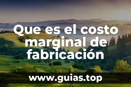 Comunidad marginal que es 3 Que es el costo marginal de fabricación