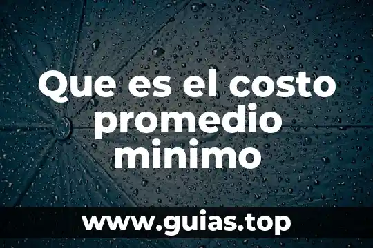 Qué es costo variable en contabilidad 8 Que es el costo promedio minimo