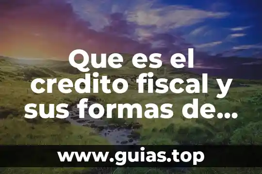 Qué es dinero tipos y formas 8 Que es el credito fiscal y sus formas de extinguirlo
