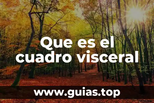 Que es be cuadro 5 Que es el cuadro visceral