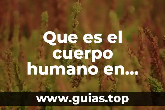 Qué es un mp3 en el cuerpo humano 4 Que es el cuerpo humano en educacion fisica