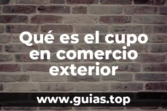 Qué es un número exterior 7 Qué es el cupo en comercio exterior