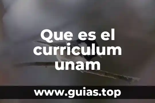 Que es el pensamiento unam 5 Que es el curriculum unam