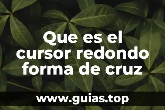 Que es el codigo cruz badiano 5 Que es el cursor redondo forma de cruz