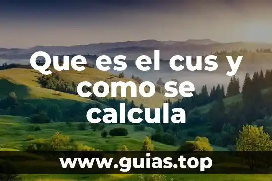 Que es ser un oraculo en las relaciones humanas 4 Que es el cus y como se calcula