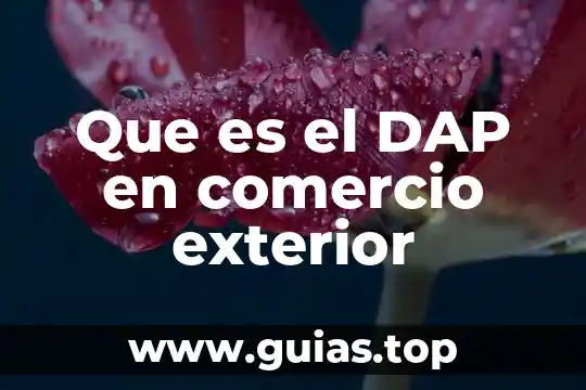 Número exterior e interior que es 5 Que es el DAP en comercio exterior