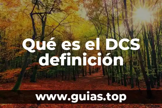 Que es la productividad agricola 4 Qué es el DCS definición