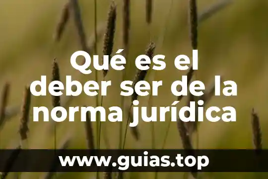 Que es ser un jojo 7 Qué es el deber ser de la norma jurídica