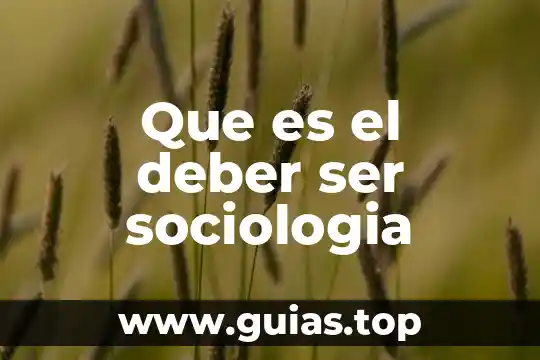 Que es ser una secretaria ejecutiva gerencial 3 Que es el deber ser sociologia