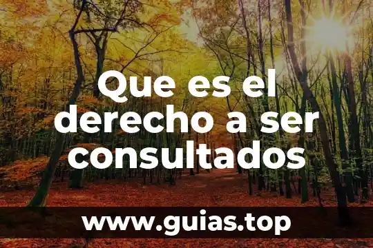 Que es ser backend 7 Que es el derecho a ser consultados