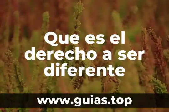 Que es ser un gap 3 Que es el derecho a ser diferente