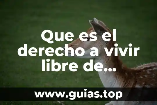Que es la violencia 3n fcye 3 Que es el derecho a vivir libre de violencia