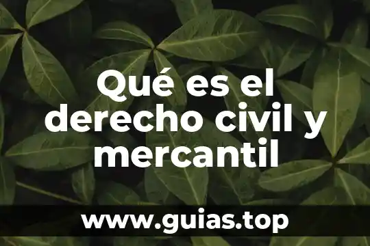 Qué es el recurso de revisión civil concepto mexicano 7 Qué es el derecho civil y mercantil