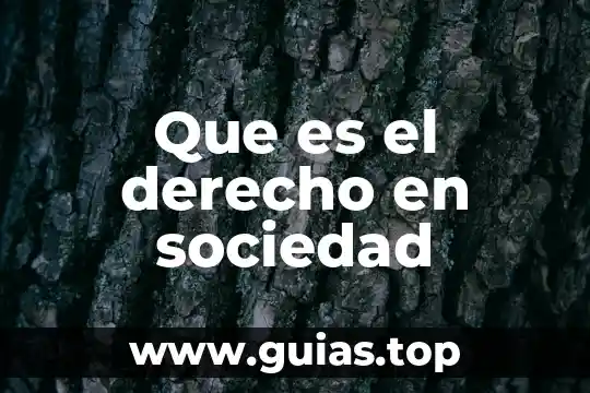 Concepto doctrinal de riesgo en derecho mercantil que es 4 Que es el derecho en sociedad