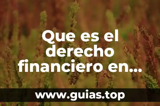 Qué es el escudo financiero de México 4 Que es el derecho financiero en bolivia