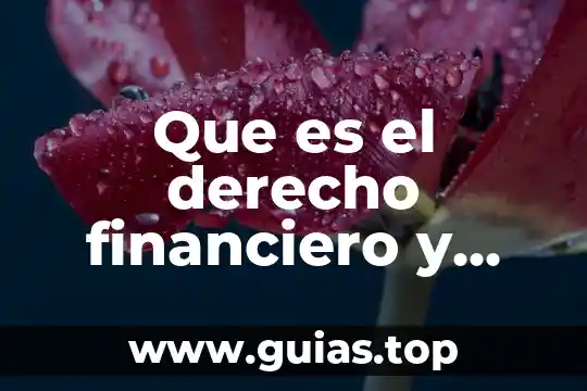 Qué es el escudo financiero de México 6 Que es el derecho financiero y como se clasifica