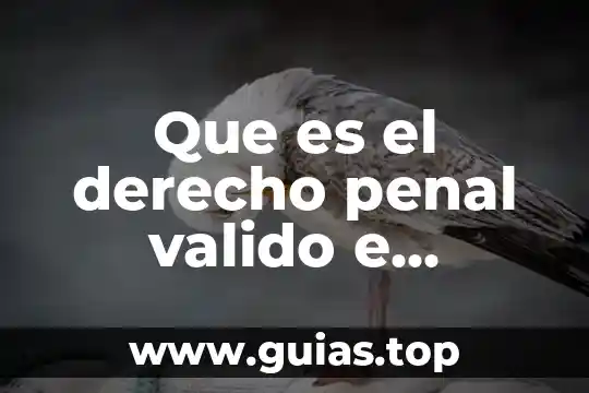 Que es el garantismo en derecho penal 3 Que es el derecho penal valido e invalido