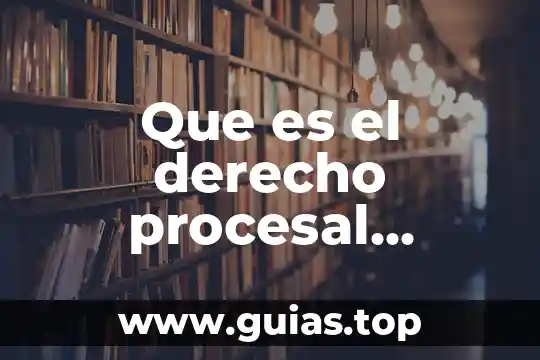 Que es el principio de inmediatez procesal en materia laboral 8 Que es el derecho procesal transnacional