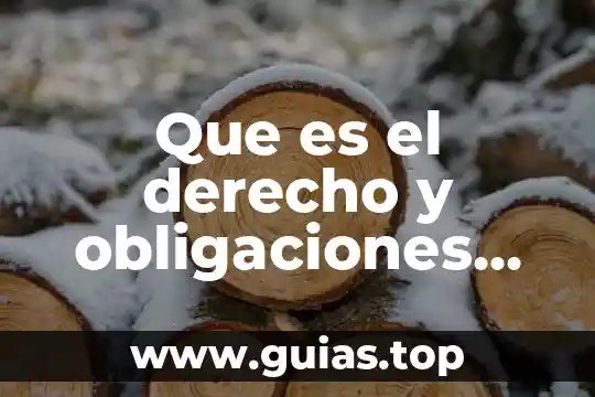 Que es aviso de cumplimiento de obligaciones fiscales 3 Que es el derecho y obligaciones decada ser humano