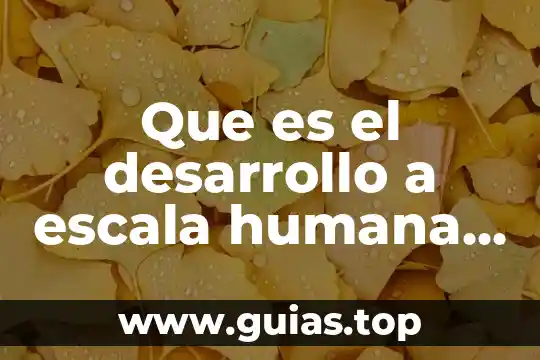 Que es la libertad humana definición y antecedentes 5 Que es el desarrollo a escala humana manfred max neef