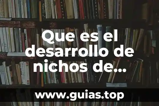 Que es estudio de mercado a nivel regional 3 Que es el desarrollo de nichos de mercado