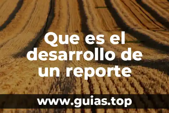Qué es comunicación para el desarrollo concepto 6 Que es el desarrollo de un reporte