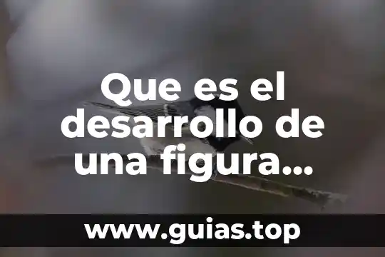 Qué es interpretación en cálculos geométrica 4 Que es el desarrollo de una figura geometrica