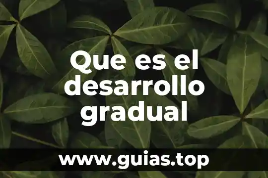 Que es el desarrollo del pensamiento simbolico 8 Que es el desarrollo gradual