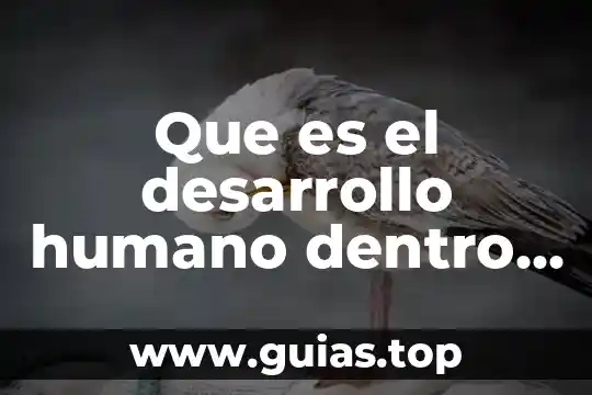 Que es ser justo en el ser humano 8 Que es el desarrollo humano dentro de una empresa