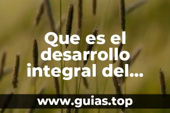 Que es el desarrollo en una investigacion 5 Que es el desarrollo integral del alumno