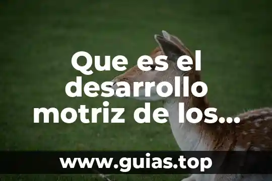 Concepto de que es un circuito motriz 8 Que es el desarrollo motriz de los niños