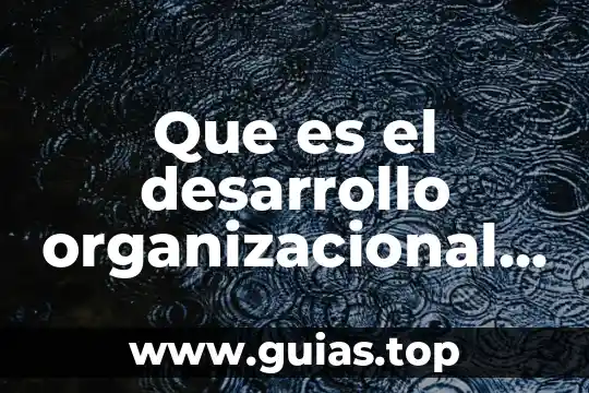 Que es funcion apelativo 3 Que es el desarrollo organizacional y su funcion