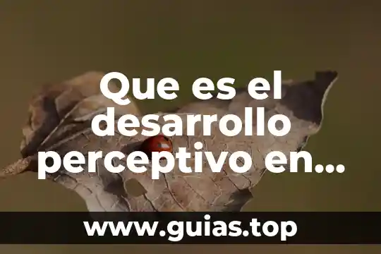 Qué es tococirugía definición 3 Que es el desarrollo perceptivo en la arte